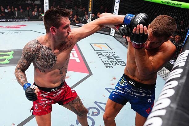 其他主赛中, inews